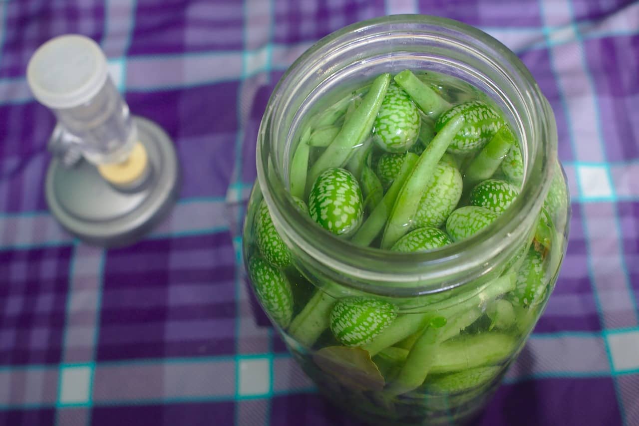 Comment conserver ses légumes grâce à la Lacto-fermentation