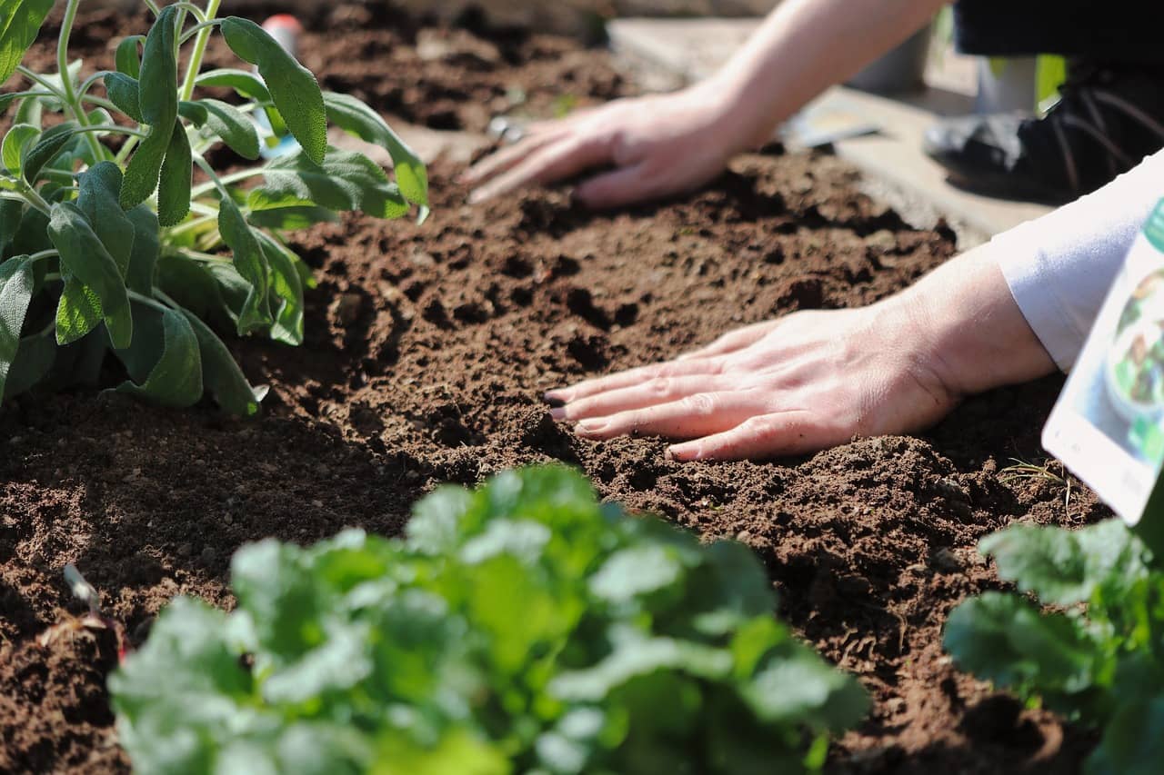 Le pouvoir du jardinage thérapeutique