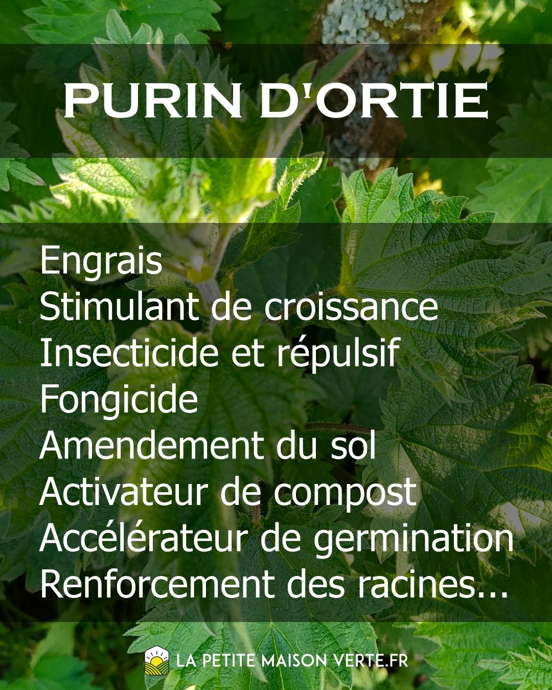  purin d'ortie  bienfaits