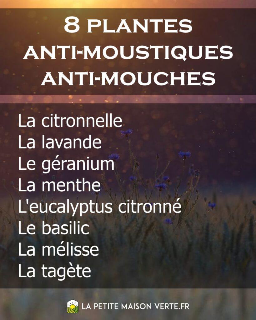 8 Plantes Anti-Moustiques et Anti-Mouches