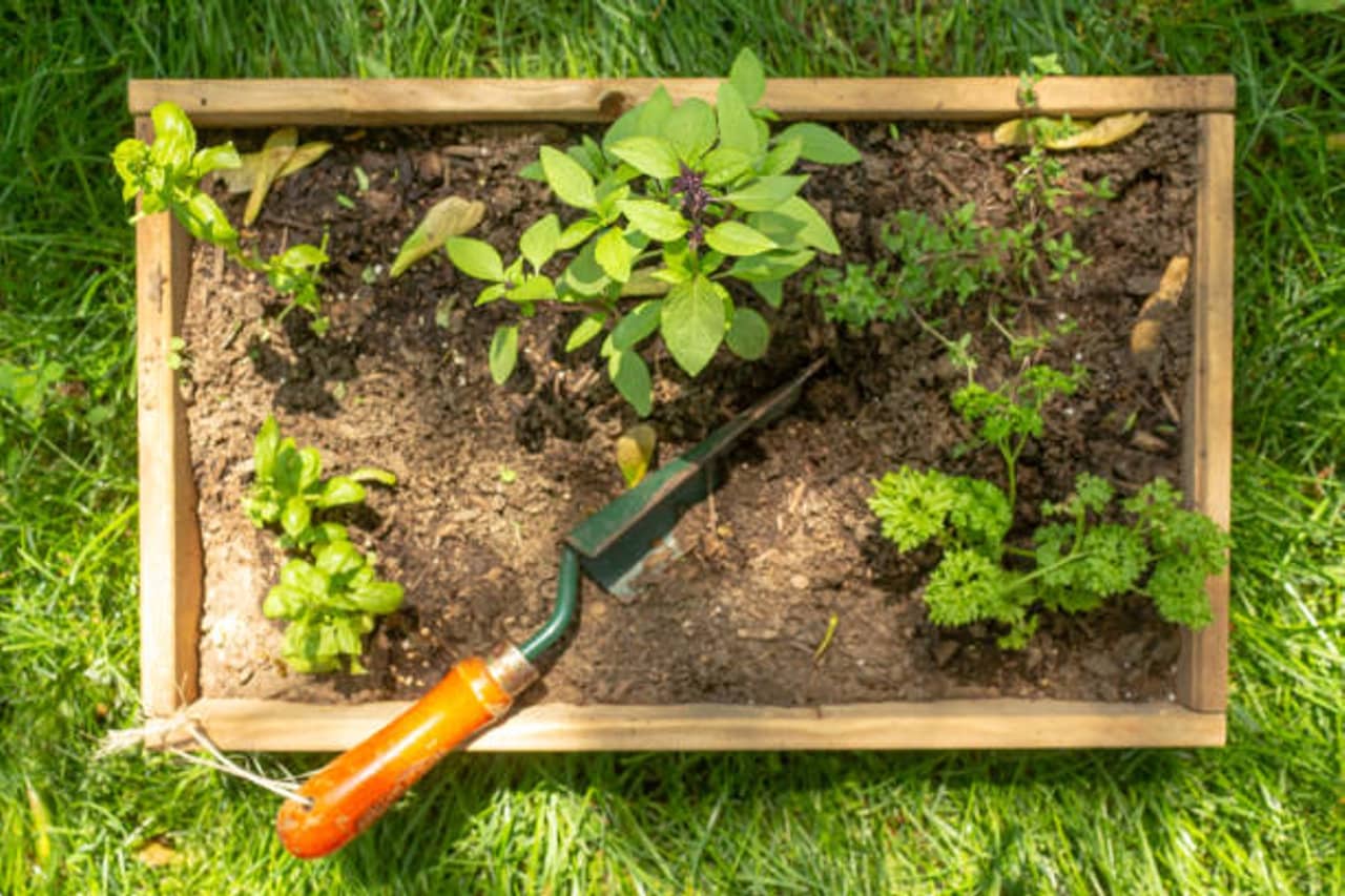 Carrés de Jardinage : Cultivez l'Abondance dans un Espace Restreint