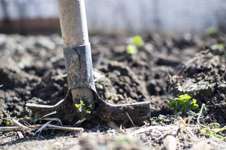 Septembre, Que Faire au Potager ?