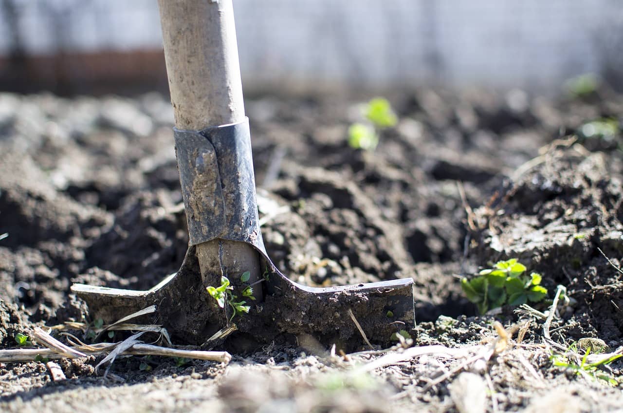 Septembre, Que Faire au Potager