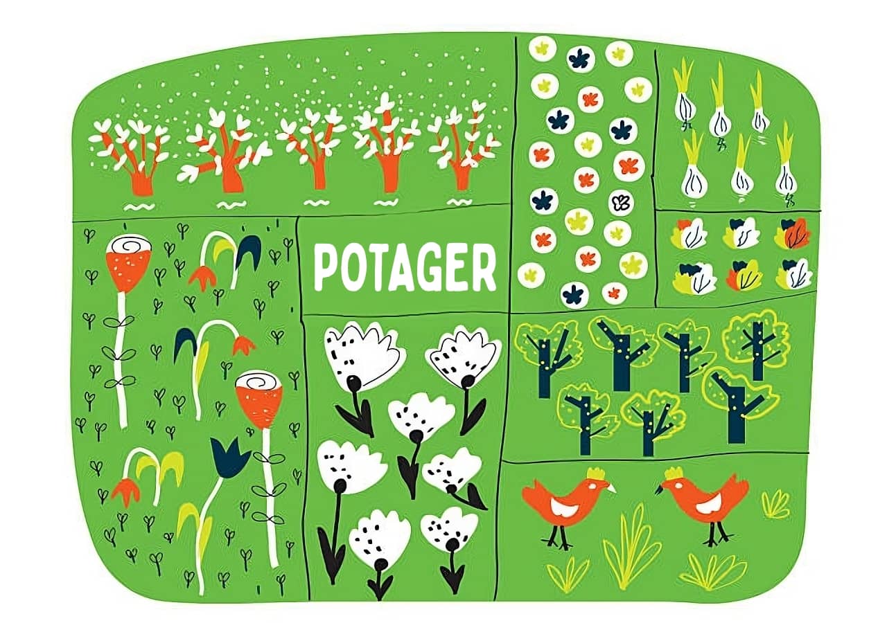 Comment organiser son potager